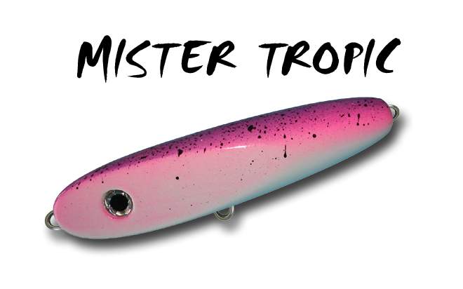 Mister Tropic